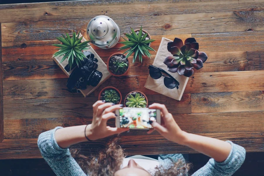 Manos grabando con el móvil plantas y objetos colocados sobre una mesa de madera